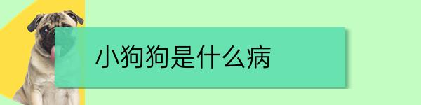 广西宠物美容培训狗细小病毒是什么病 狗狗细小是什么病