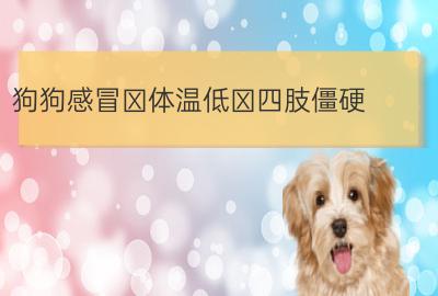 海南宠物培训狗 小狗四肢僵硬头往后仰