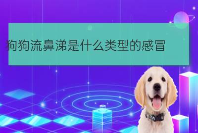 法老王猎犬 小阿拉斯加流黄鼻涕